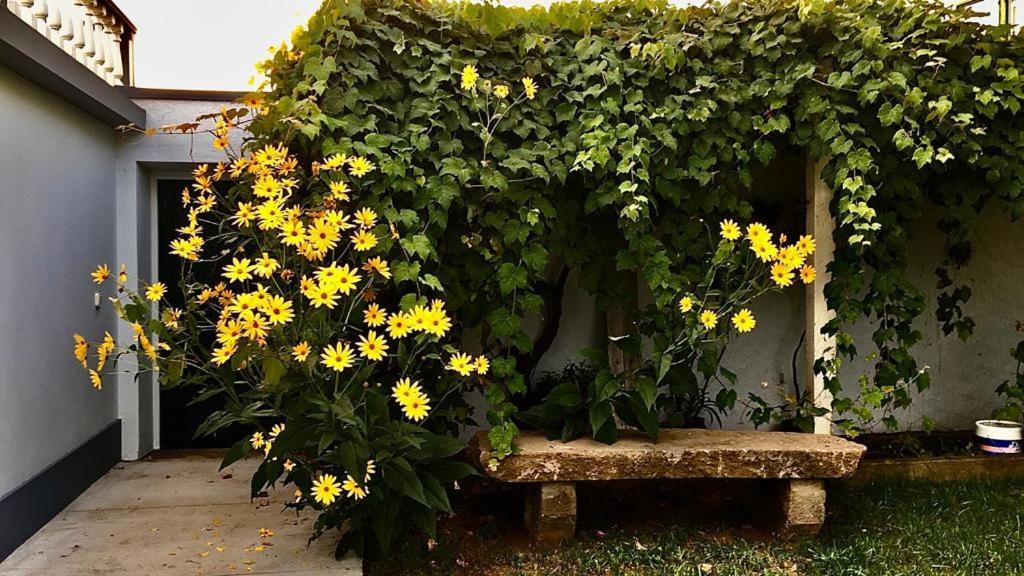 Casa As Sete Villa Angra do Heroísmo Exteriör bild
